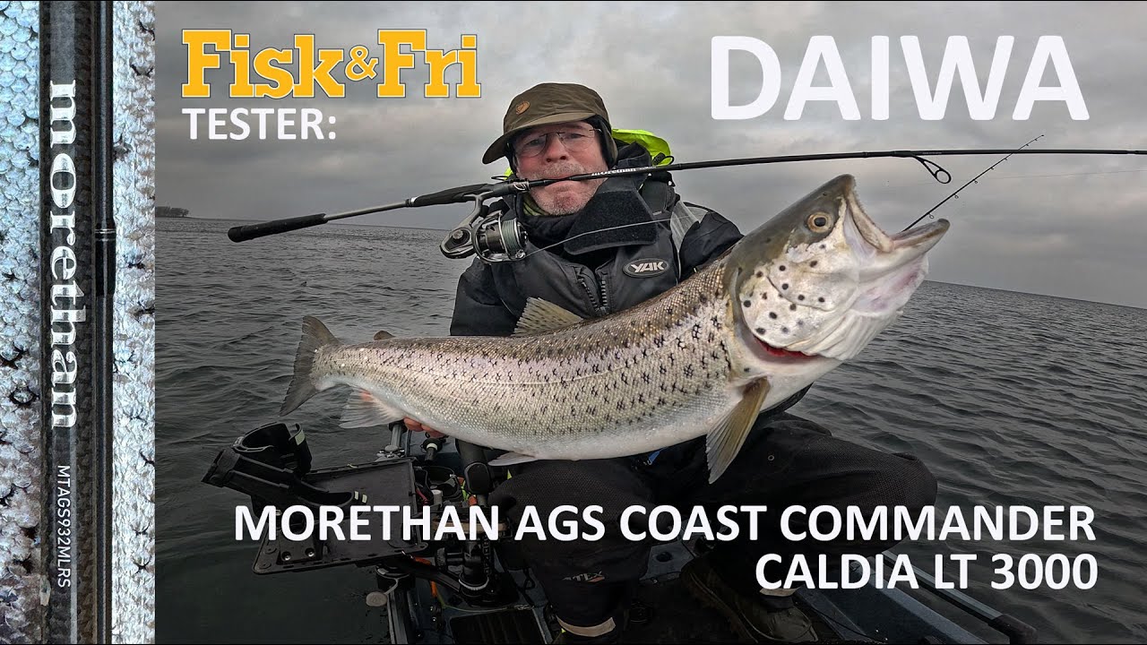 GREJNYT PÅ VIDEO: FISK & FRI TESTER DAIWA MORETHAN AGS OG CALDIA LT