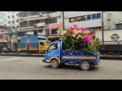 Surprise to Dearest One with Beautiful Bouquet of Flowers | DHAKA