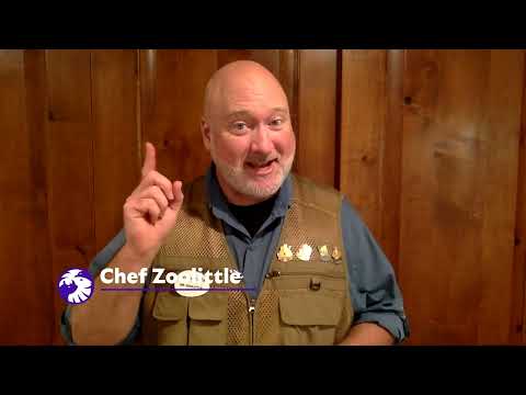 San Diego Zoo Wildlife Explorers Corner Episode 3: Designing Zoo Habitats