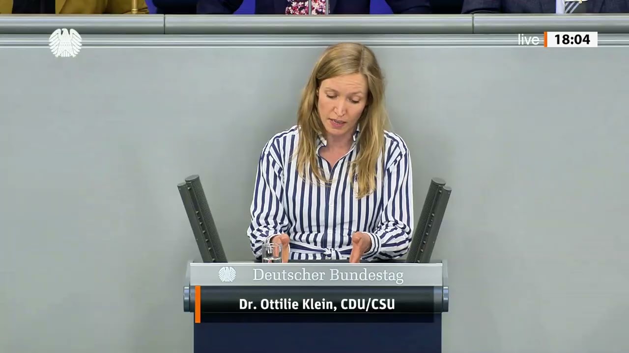 AfD-Parteitag: Demokratie verteidigt man nicht mit Gewalt | Rede vom 08.07.2026