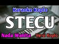 STECU STECU KARAOKE NADA WANITA CEWEK Versi Koplo Faris Adam