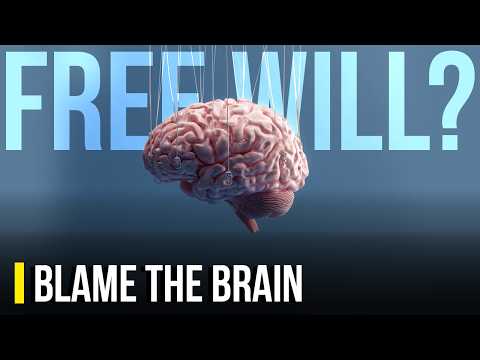 Is Your Free Will an Illusion?