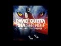 [INSTRUMENTAL] David Guetta - She Wolf ...