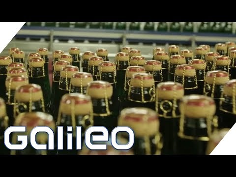 1 Milliarde Euro Umsatz! So rettete sich Rotkäppchen-Sekt vor der Pleite | Galileo | ProSieben