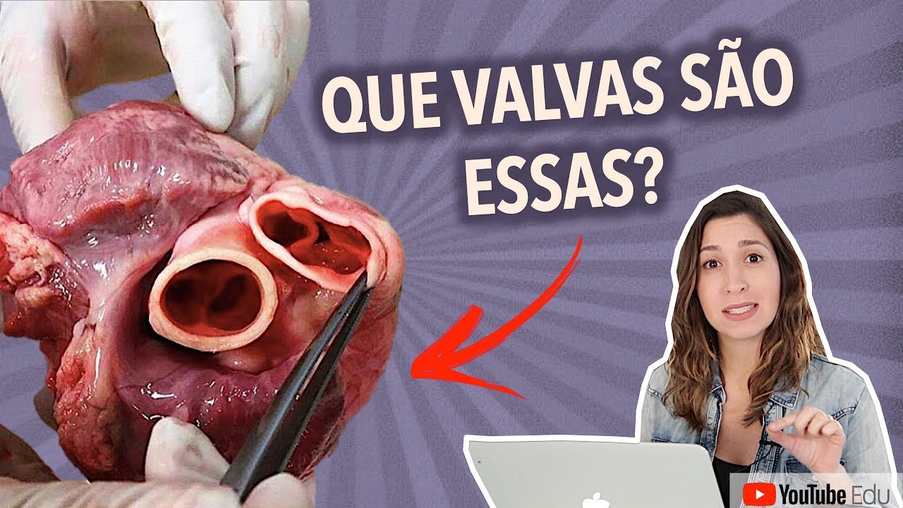 Anatomia do Coração. Valvas Cardíacas | Anatomia etc