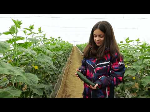 Srpski domaćin ep. 116 28.04.2022. Stajkovce, Vlasotince, Ivica Nastić, povrtarstvo