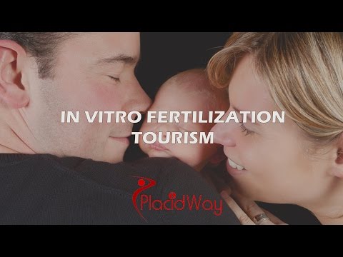 Affordable In Vitro Fertilization Treatment Around the World