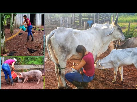 DAY DAY ON THE FARM: We got up early to work.