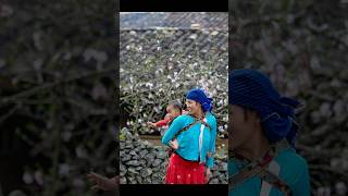 H&agrave; Giang th&aacute;ng 3/225 #travel #mountains #dulich #nature #camping #review