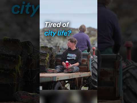 Tired Of City Life? | Dw Documentary