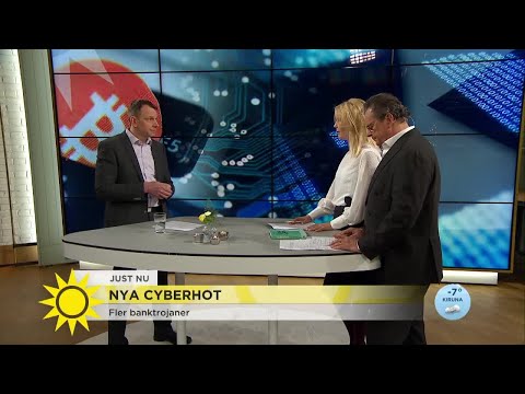 , title : 'Kriminaliteten på nätet tar nya vägar - så skyddar du dig - Nyhetsmorgon (TV4)'