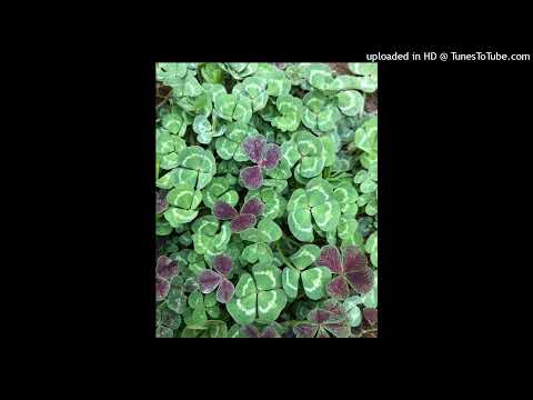 no le basta @benjitalkapone - @chimy_youngr.een