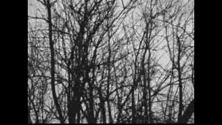 Video SAGE - The Mask Of Melpomené (singl 2014)