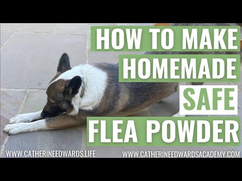 How to make Natural Flea and Tick Repellent Powder For Dogs and Cats Homemade