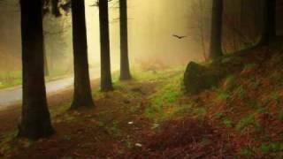 song for you Nana Mouskouri.wmv