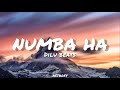 Dilu Beats Numba Ha නුඹ හා සුරඟනක් විලස ඈ Karaoke Instrumental