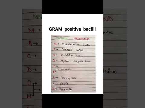 Gram positive bacilli simple trick 🔥.... #relaxingmusic #youtubeshorts #mbbs#mbbsmotivation#neet2025
