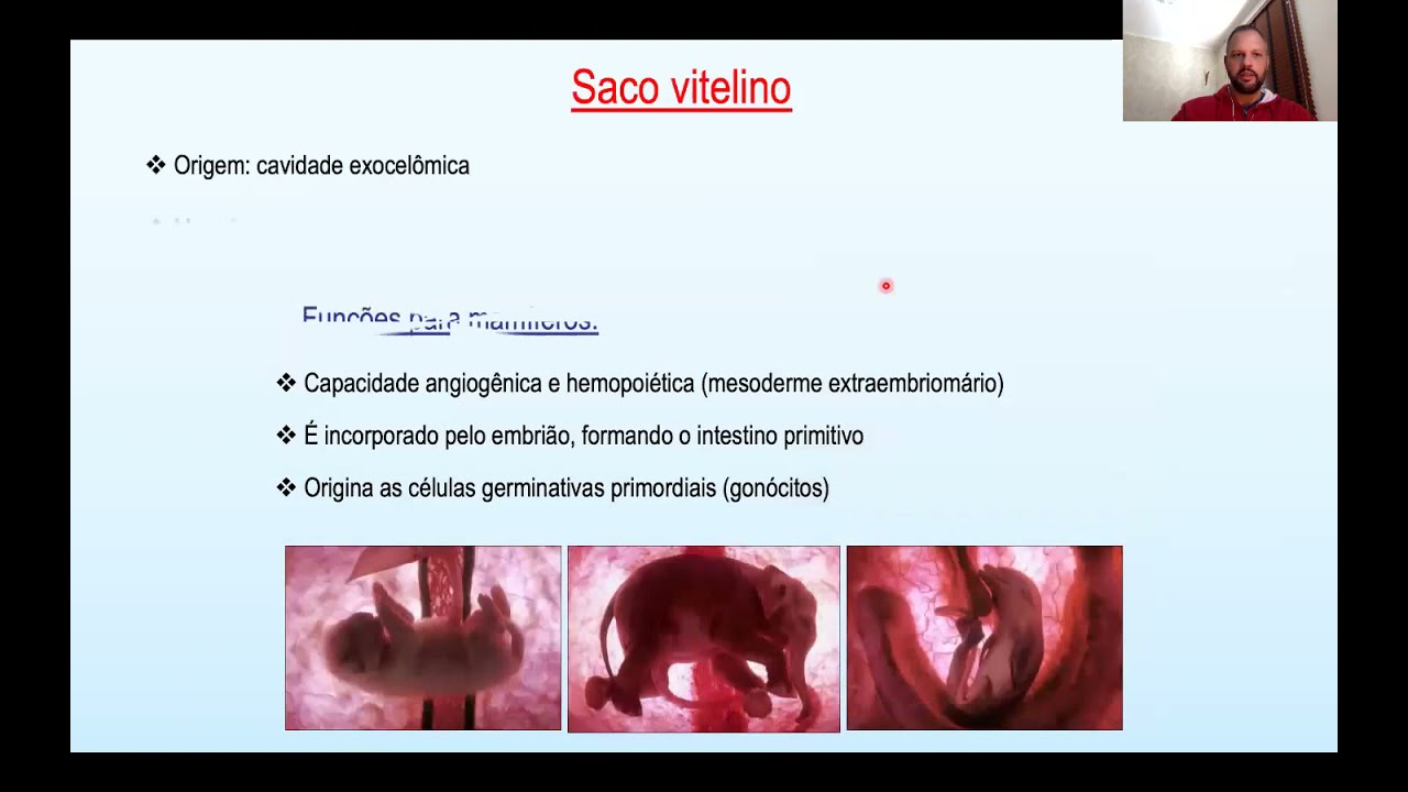 Anexos Embrionários e Placenta - Vet/UNESP