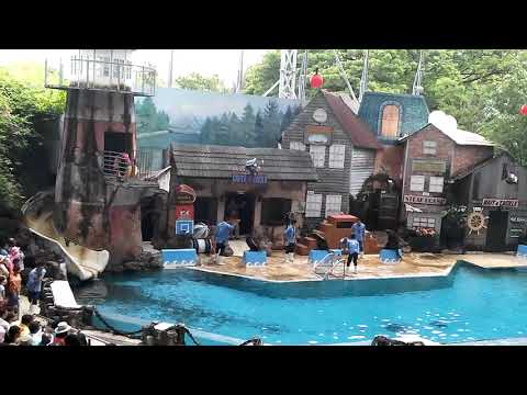 The Sea Lion Show at Safari World Bangkok | Fun & Adorable Performance!
