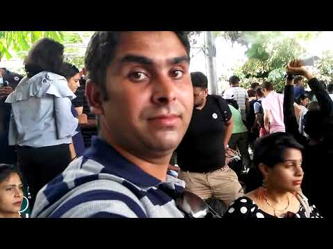 The Sea Lion Show at Safari World Bangkok | Fun & Adorable Performance!