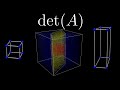 What Is A Determinant