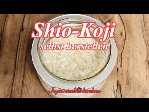 Shio-Koji selbst hergestellt / 塩こうじ