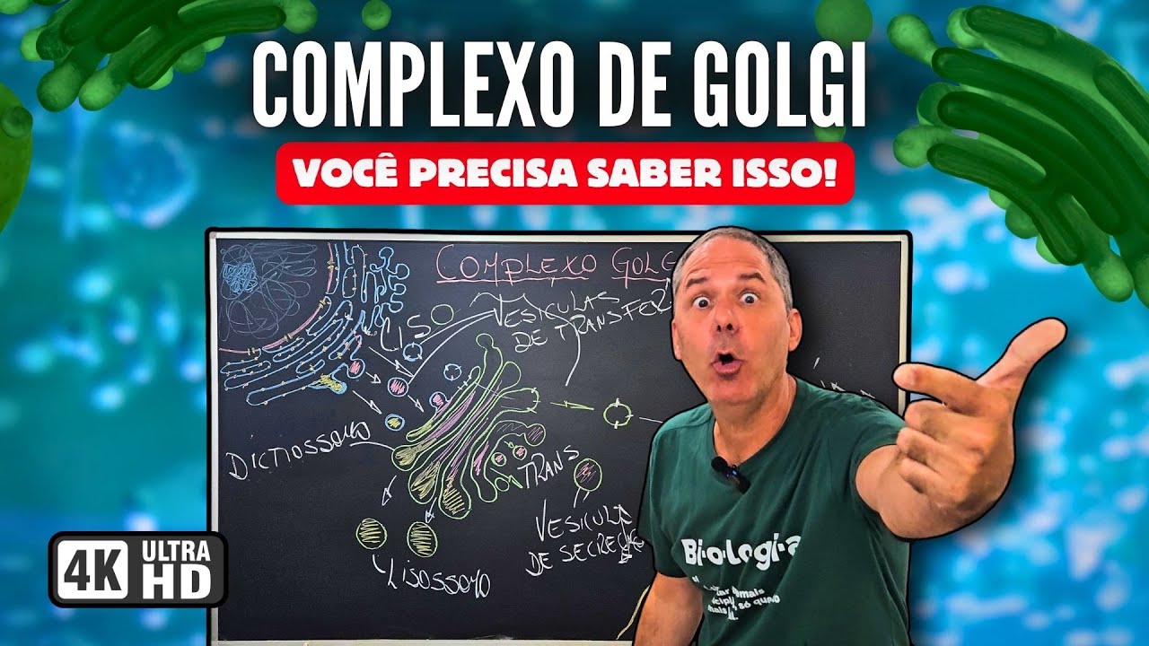 COMPLEXO DE GOLGI: Como Ele Funciona e Por Que Você PRECISA Saber Disso! CiênciaTraduzida