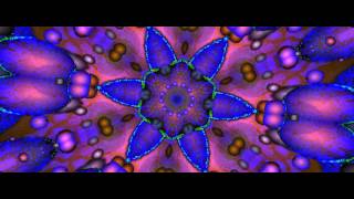 Acid Mothers Temple and The Melting Paraiso U. F. O.-    Son Of A Bitches Brew