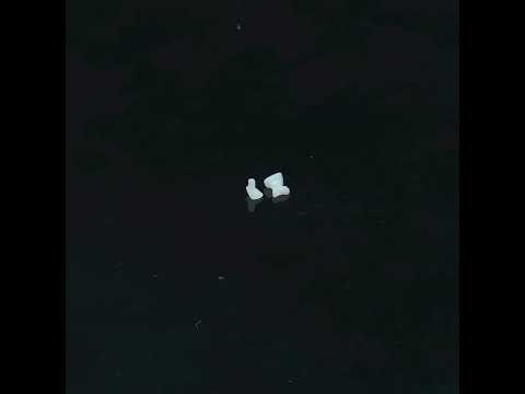 YouTube 썸네일