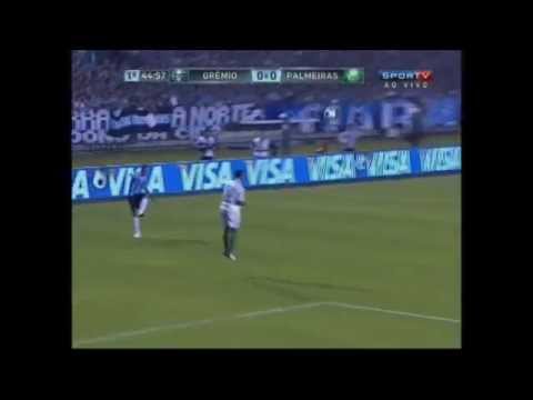 Bruno Cardoso - Palmeiras Goalkeeper - 1984 EU Passport - Cup of Brazil 2012 (Best GK of the Cup)