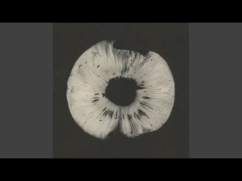 Birth Of A New Disciple (III)