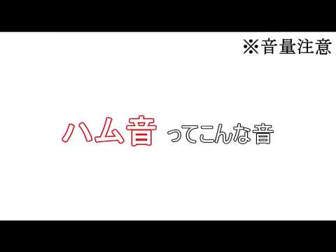 ハム(音)について詳しく解説