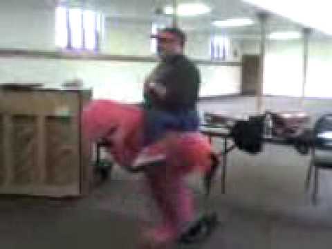 Dr Henry Dancing in a Flamingo Suit