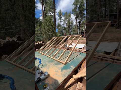 Building a 10x12 shed with $1500 of lumber