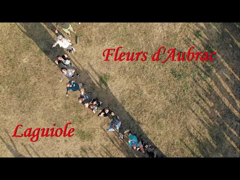 Rock Swing Boogie 2019