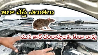How to stop rats coming inside cars|| rats spoiling cars