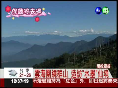 置身仙境! 銀杏森林遠眺雲海