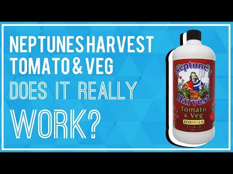 Neptune's Harvest Tomato and Veg Review