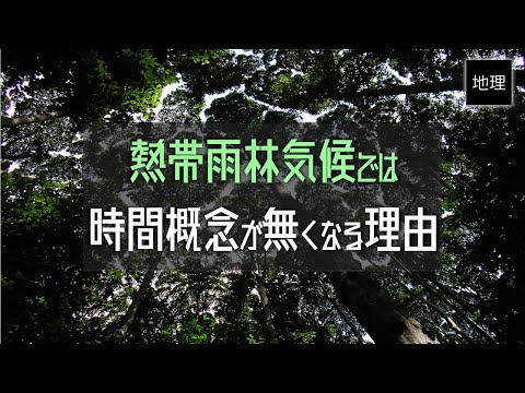 熱帯について詳しく解説