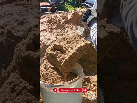 Blühsaum statt Rasenkante: So legst du 1–2 Meter Biodiversität an