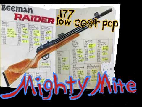 Beeman Sportsman Dual Caliber Break Barrel - Review and Testing