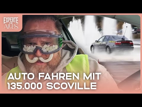 Axel Stein testet Fahrtüchtigkeit unter Extrembedingungen | Experte für Alles