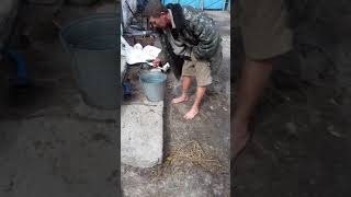 Смотреть онлайн Алкаш съел живую лягушку