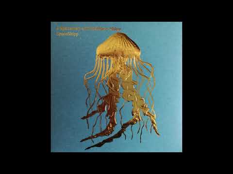 J Spaceman and Matthew Shipp - SpaceShipp (2008) [Full Album]