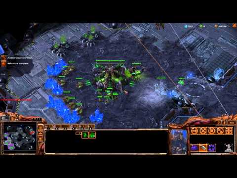 Heart of the Swarm Beta - PSY IS BACK!!!