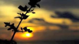 Szandra - Hyakuman bon no Bara