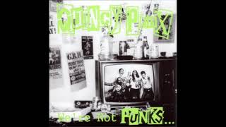 Quincy Punx – We&#39;re Not Punks...But We Play Them On TV