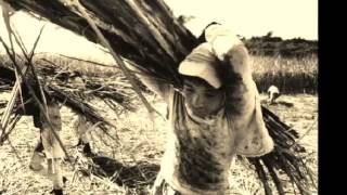 Canción para un niño en la calle- Mercedes Sosa &amp; Calle 13