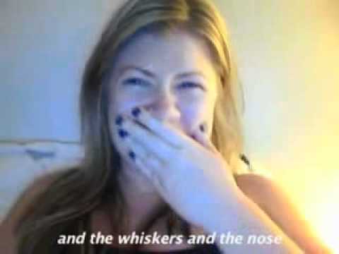 Songify This - CAN'T HUG EVERY CAT -- a song about loving cats