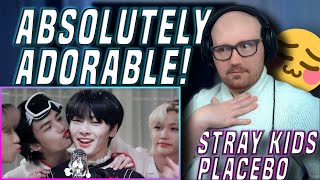 This was SO Adorable! 🤗 | Stray Kids(스트레이 키즈) Placebo Reaction & Review
